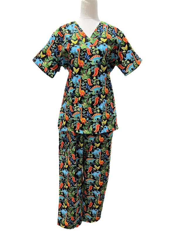Dinosaurs Scrub Set